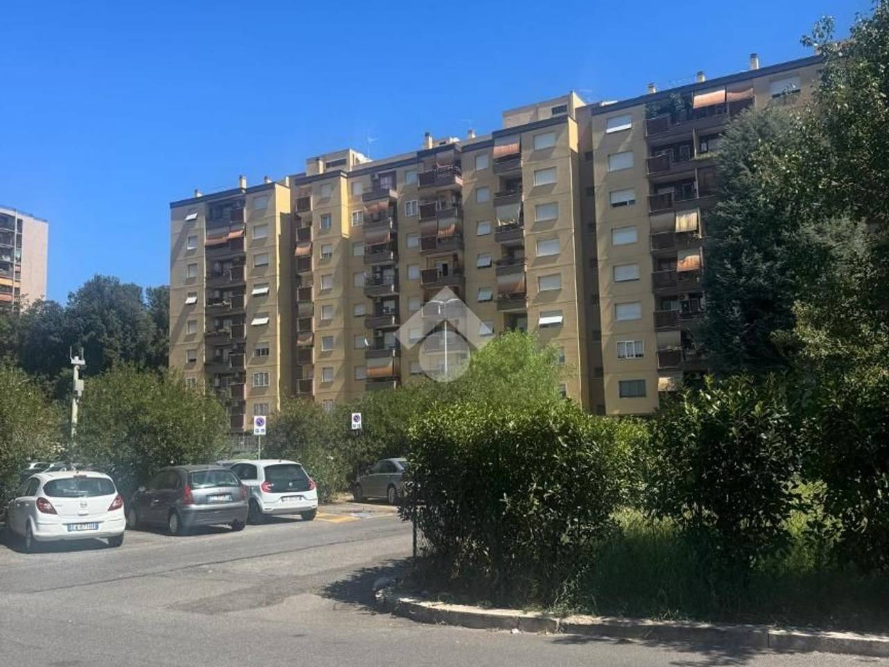 immagine annuncio 1 di 7