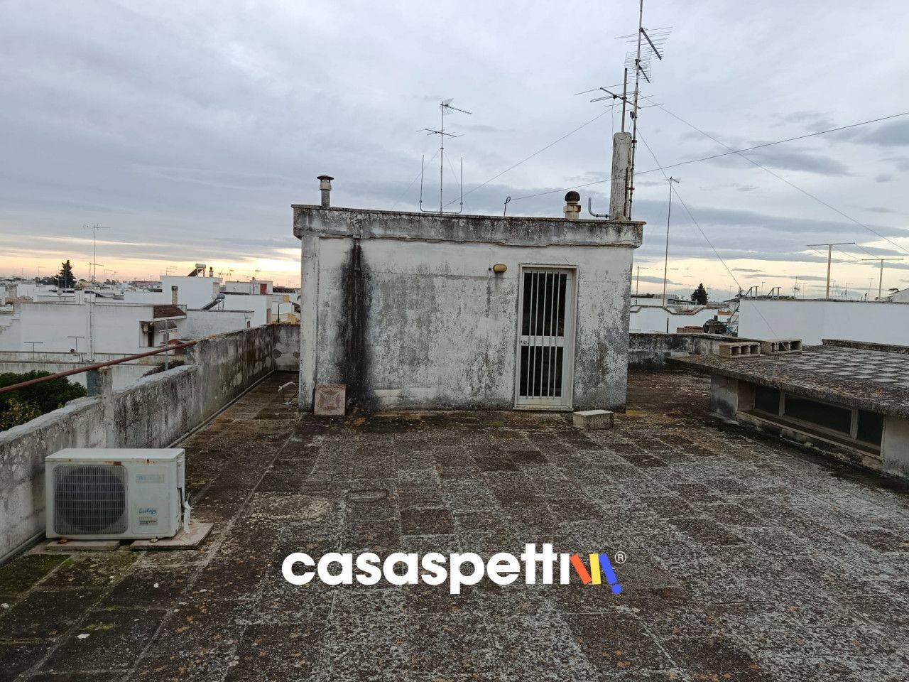 immagine annuncio 11 di 14