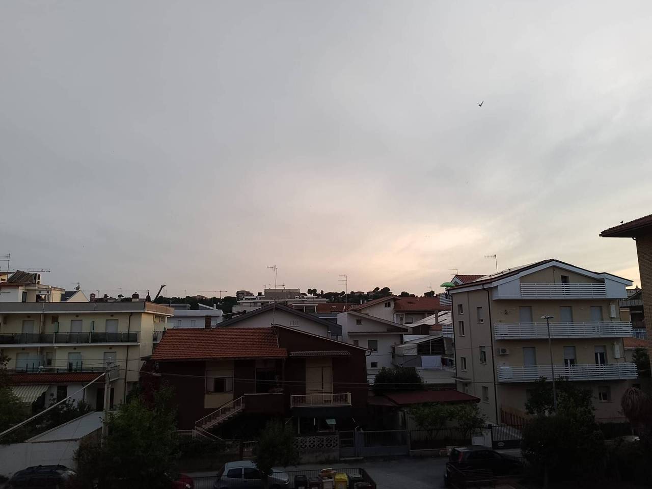 immagine annuncio 4 di 6