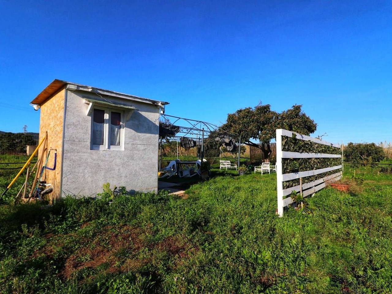 immagine annuncio 6 di 13