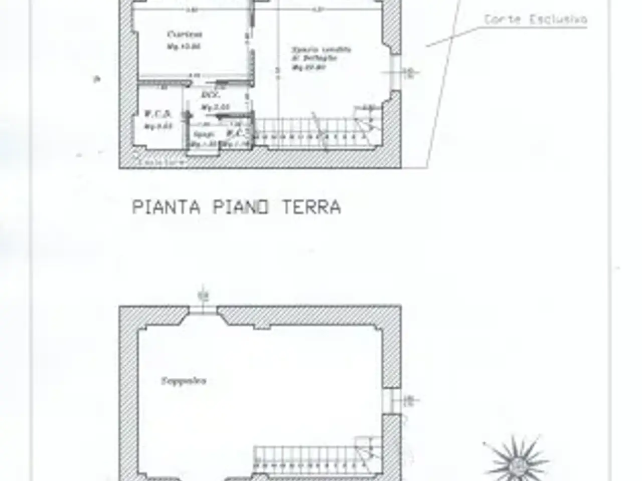 Bar in Via Pisa 26, Massa, {3} - Planimetria 1