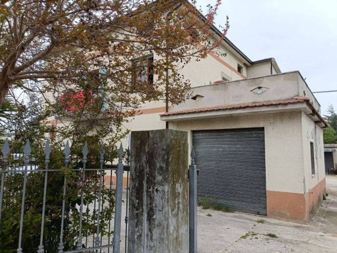 immagine annuncio 11 di 15