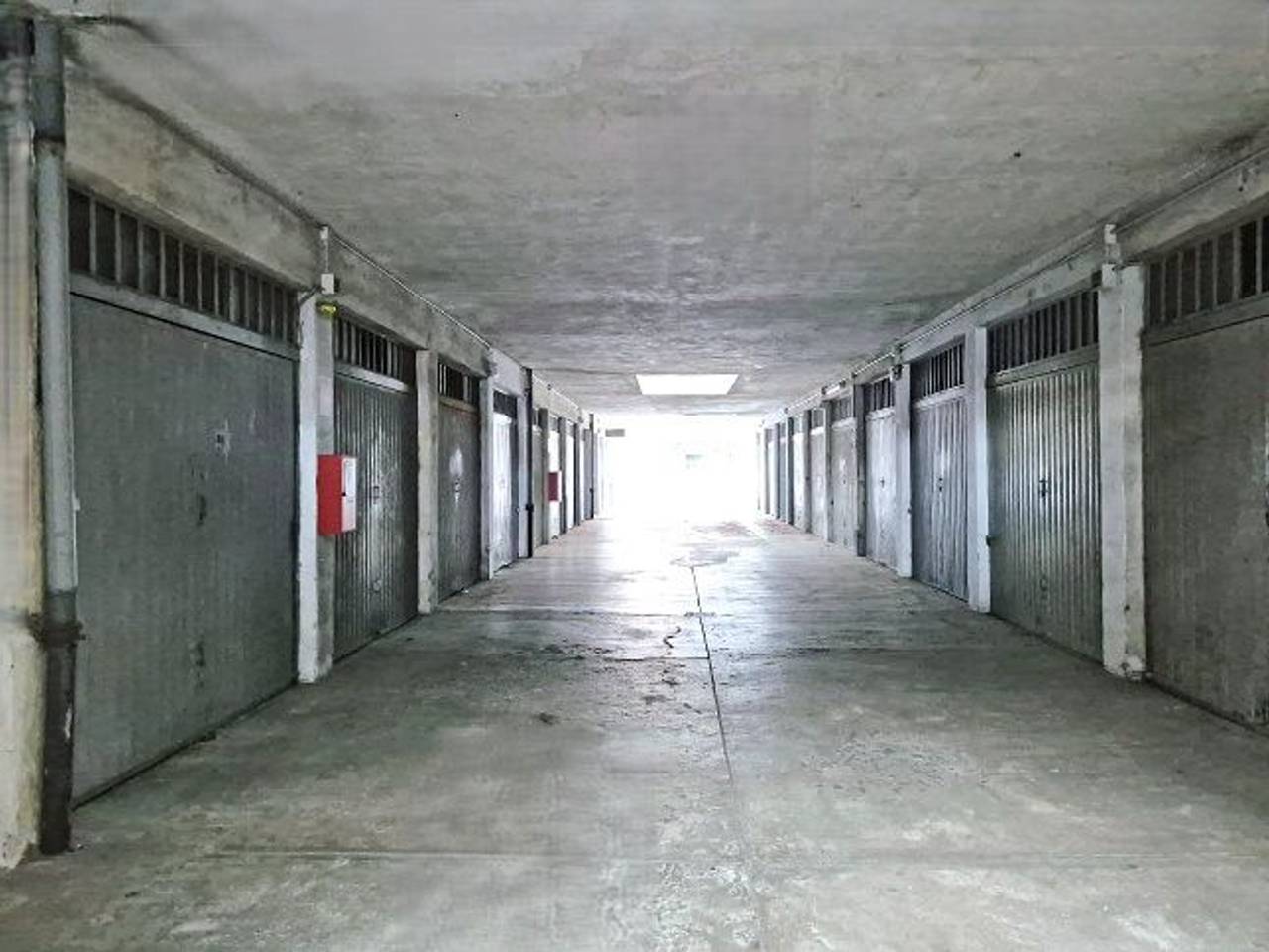 immagine annuncio 3 di 11