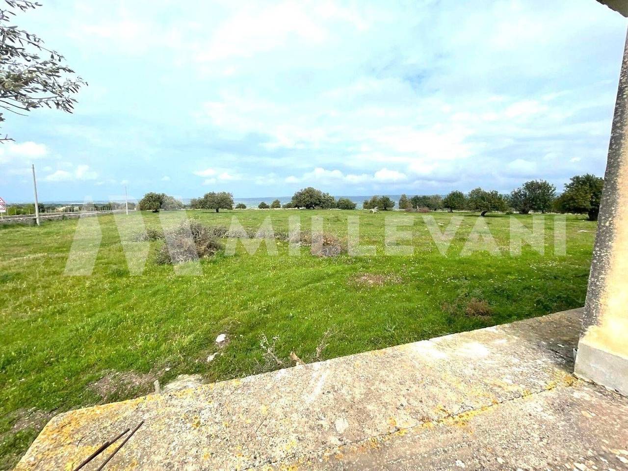 immagine annuncio 8 di 12