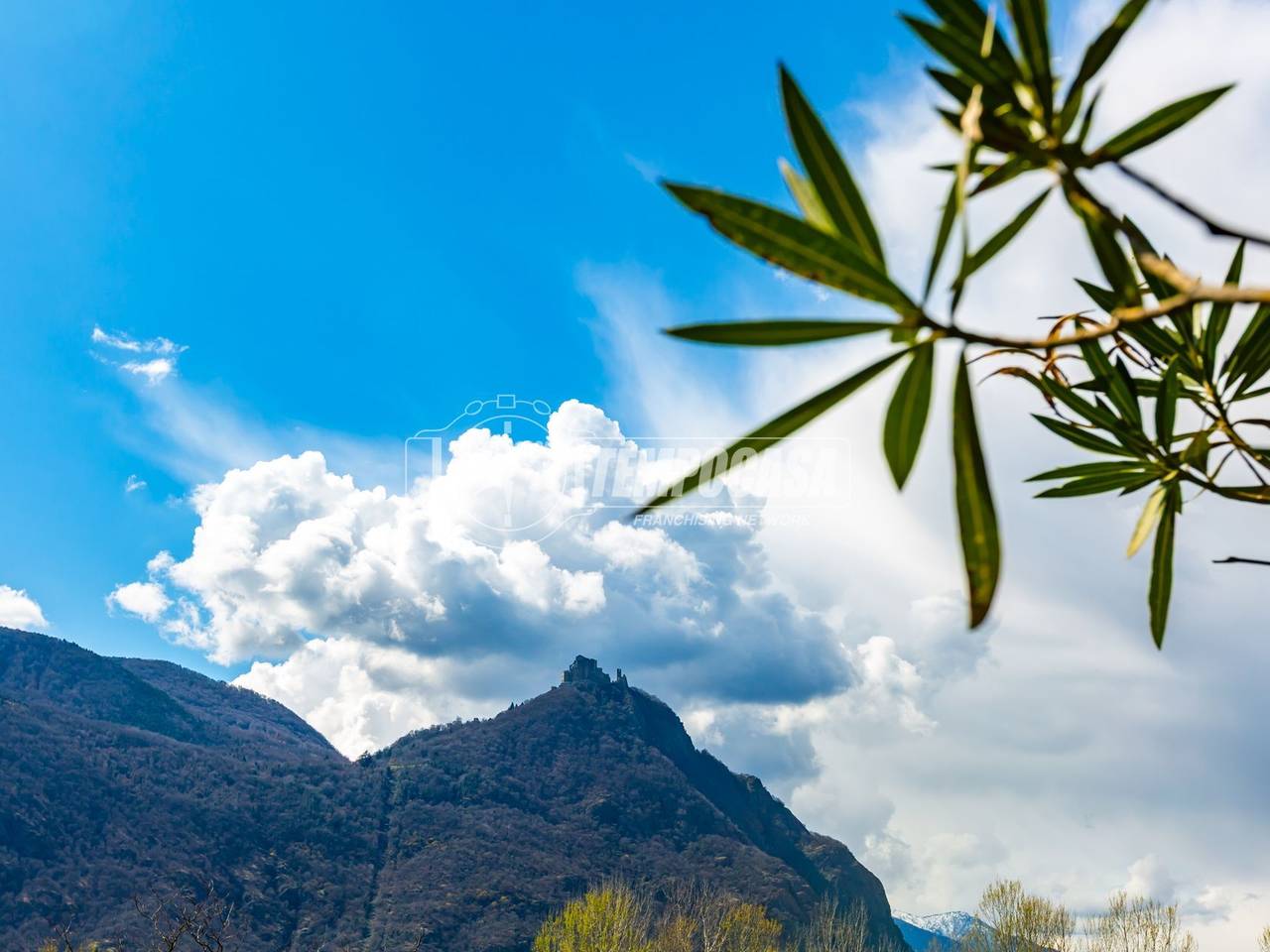 immagine annuncio 13 di 15