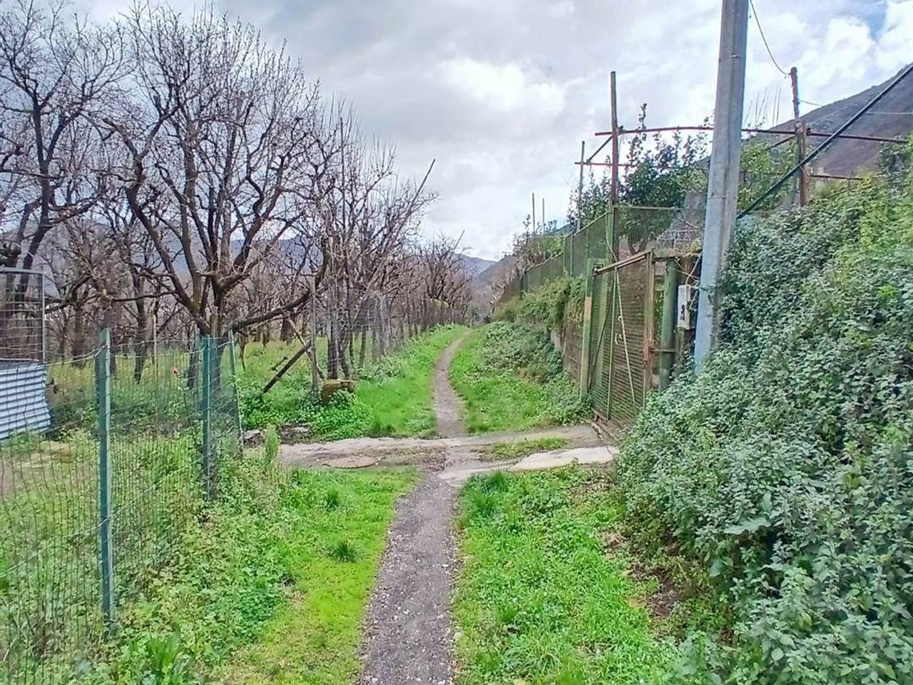 immagine annuncio 9 di 11