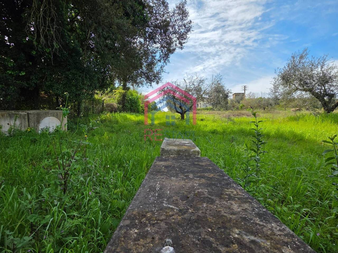 immagine annuncio 3 di 8