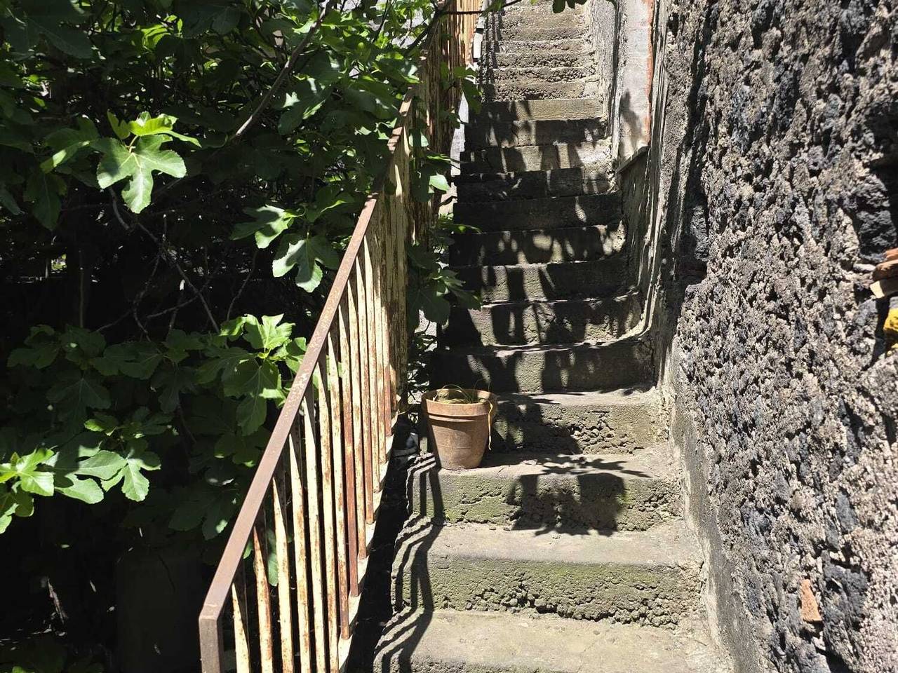 immagine annuncio 6 di 14