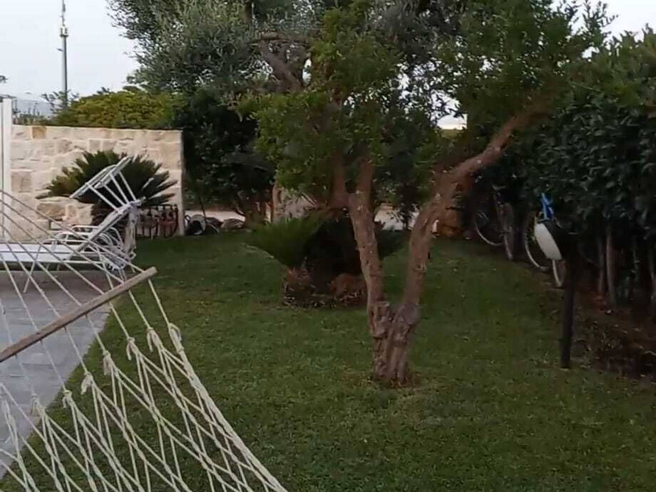 immagine annuncio 2 di 9