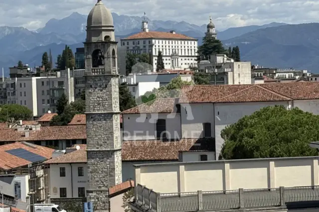 insertion image
