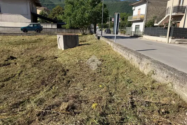 insertion image