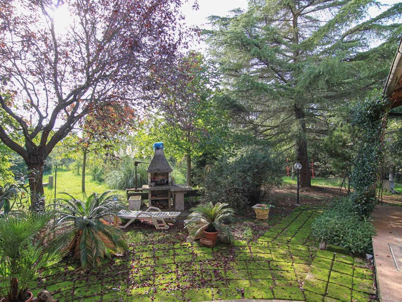 immagine annuncio 4 di 14