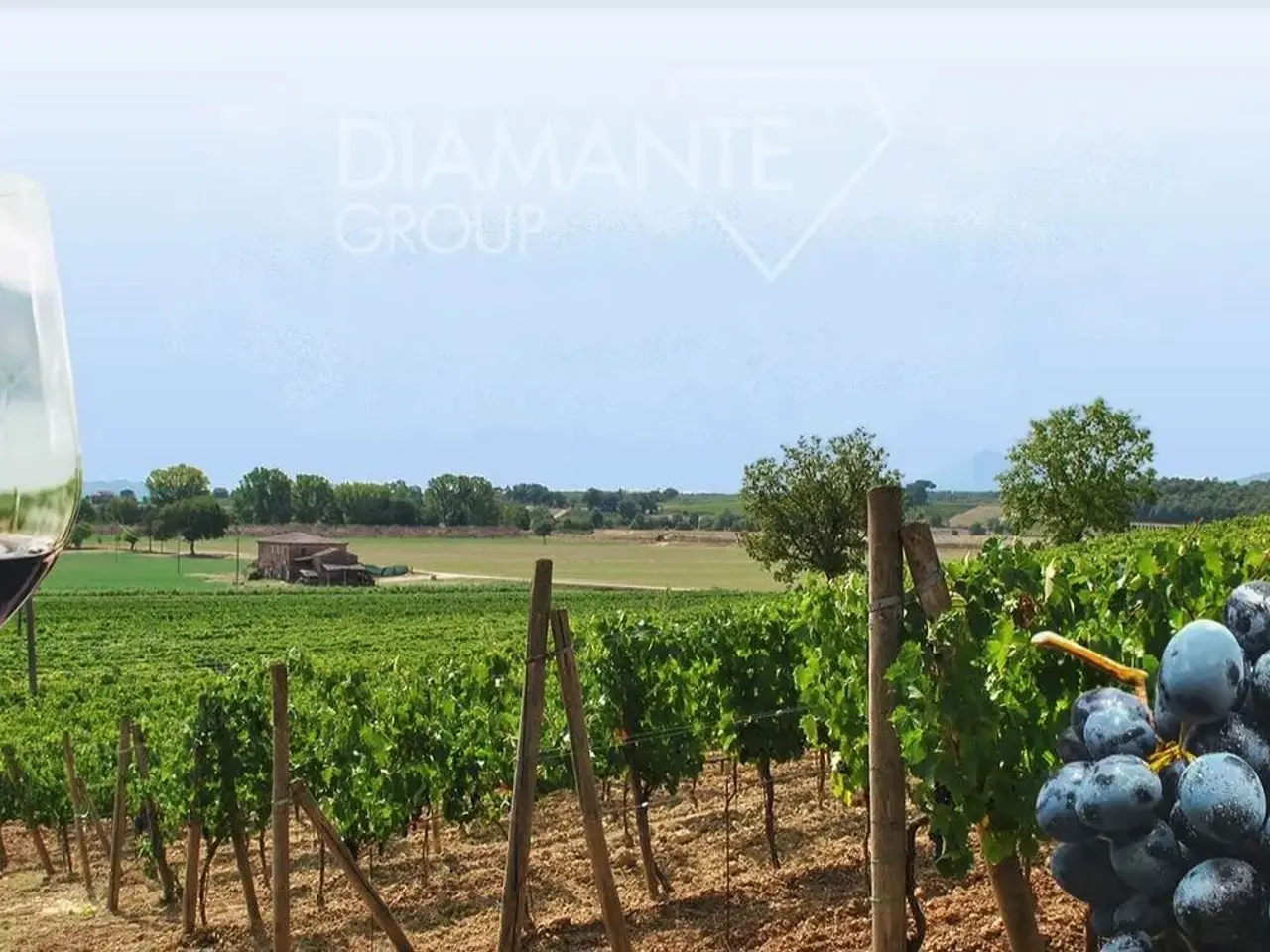 Azienda agricola in , Montepulciano, {3} - Foto 1