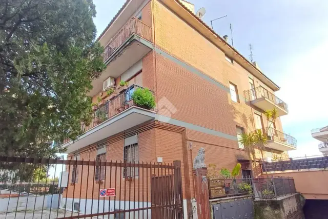 insertion image