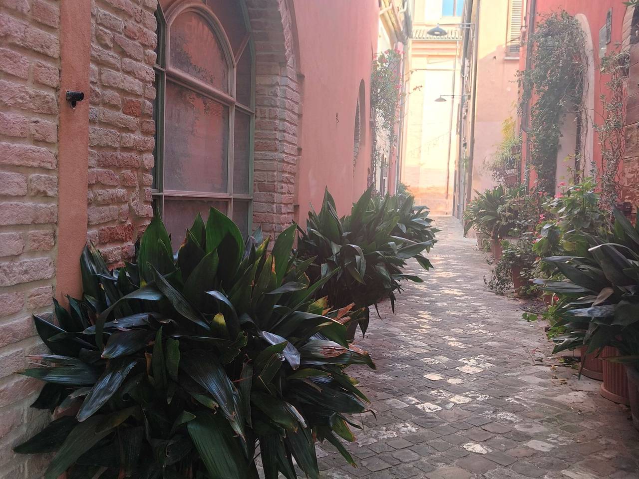 immagine annuncio 5 di 13