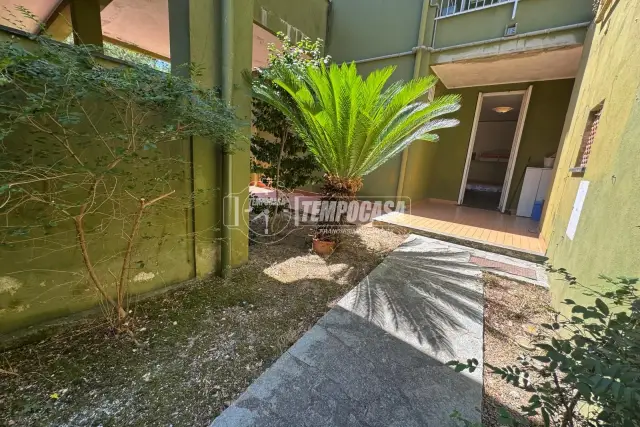 insertion image