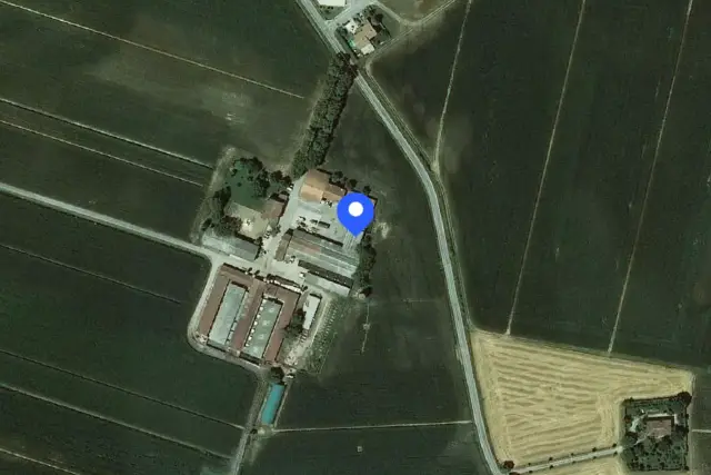 insertion image