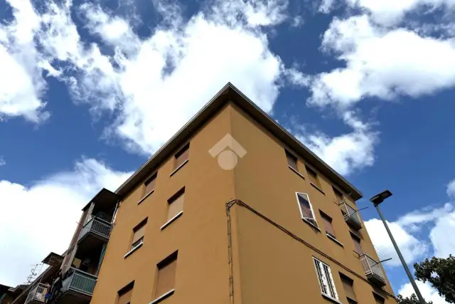 insertion image