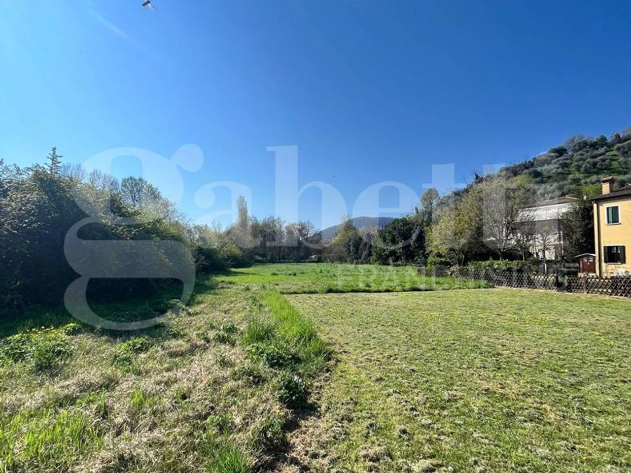 immagine annuncio 3 di 12