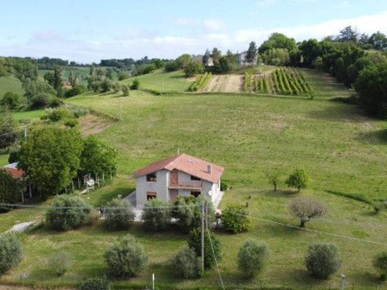 immagine annuncio 6 di 15