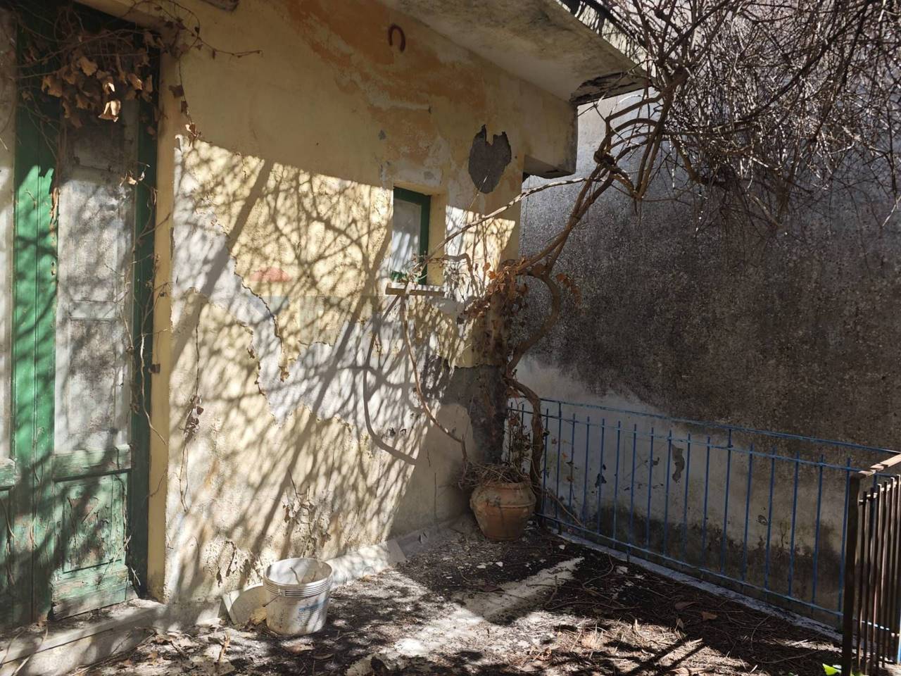 immagine annuncio 4 di 14