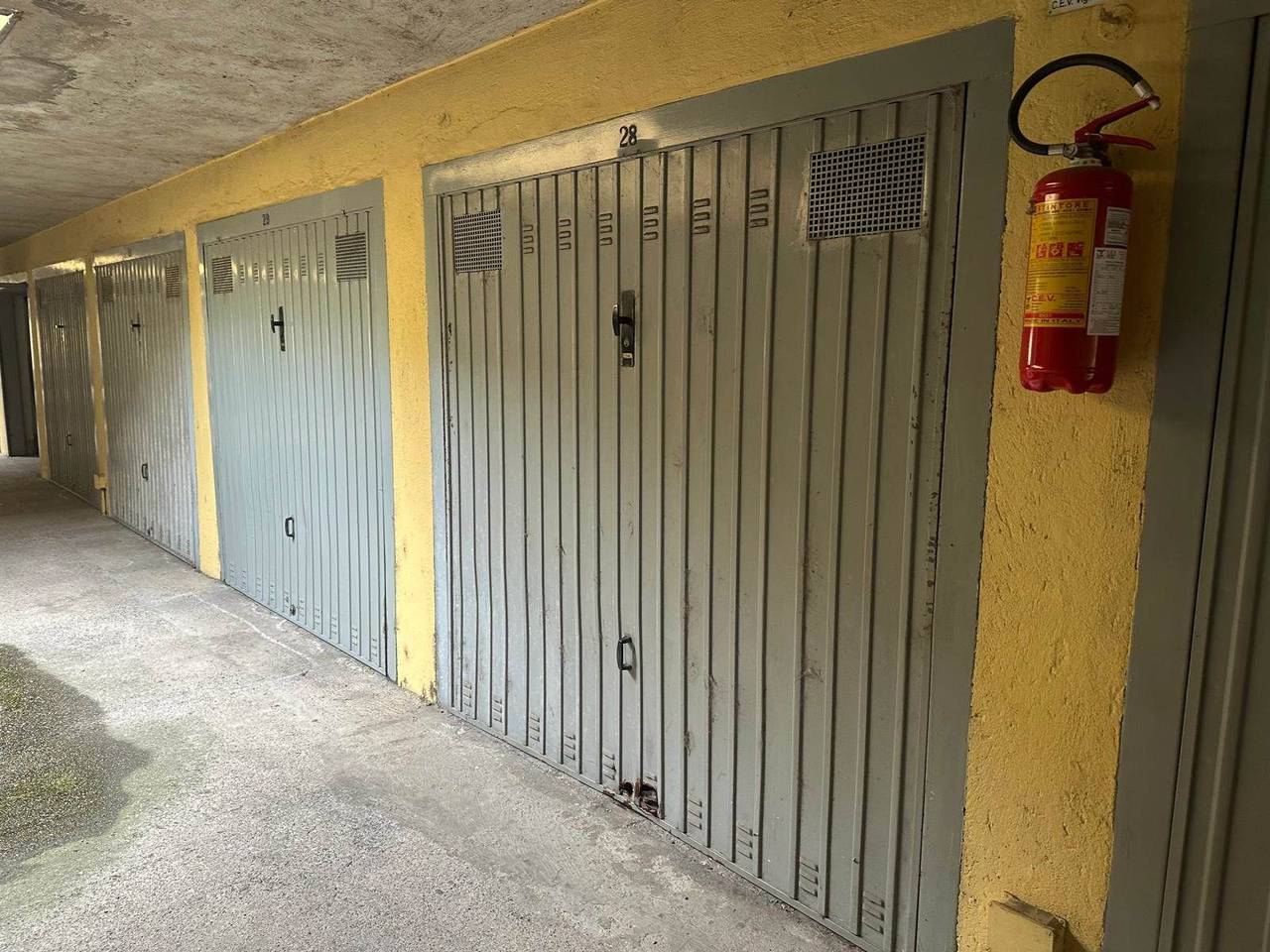 immagine annuncio 7 di 15