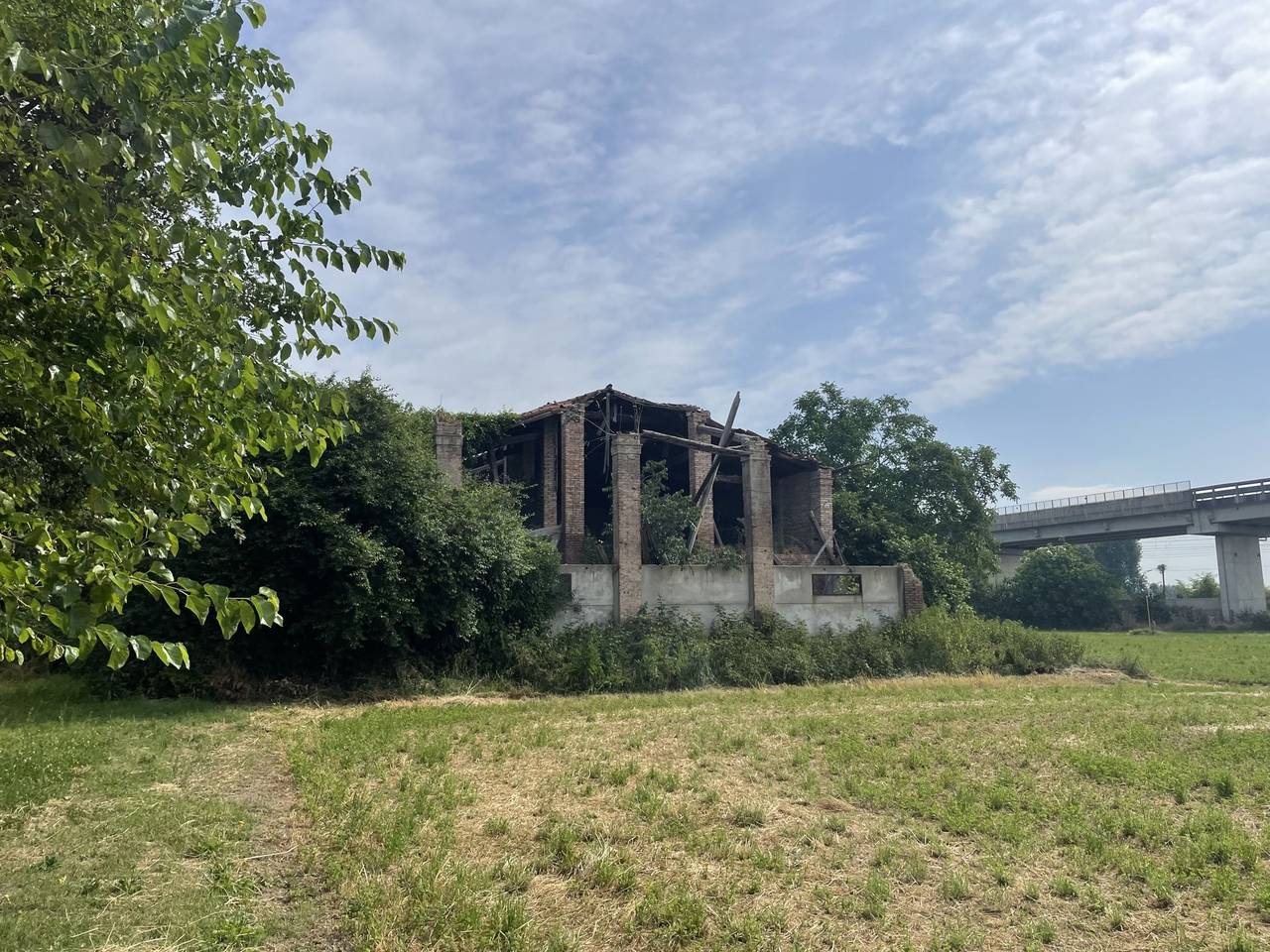 immagine annuncio 10 di 14