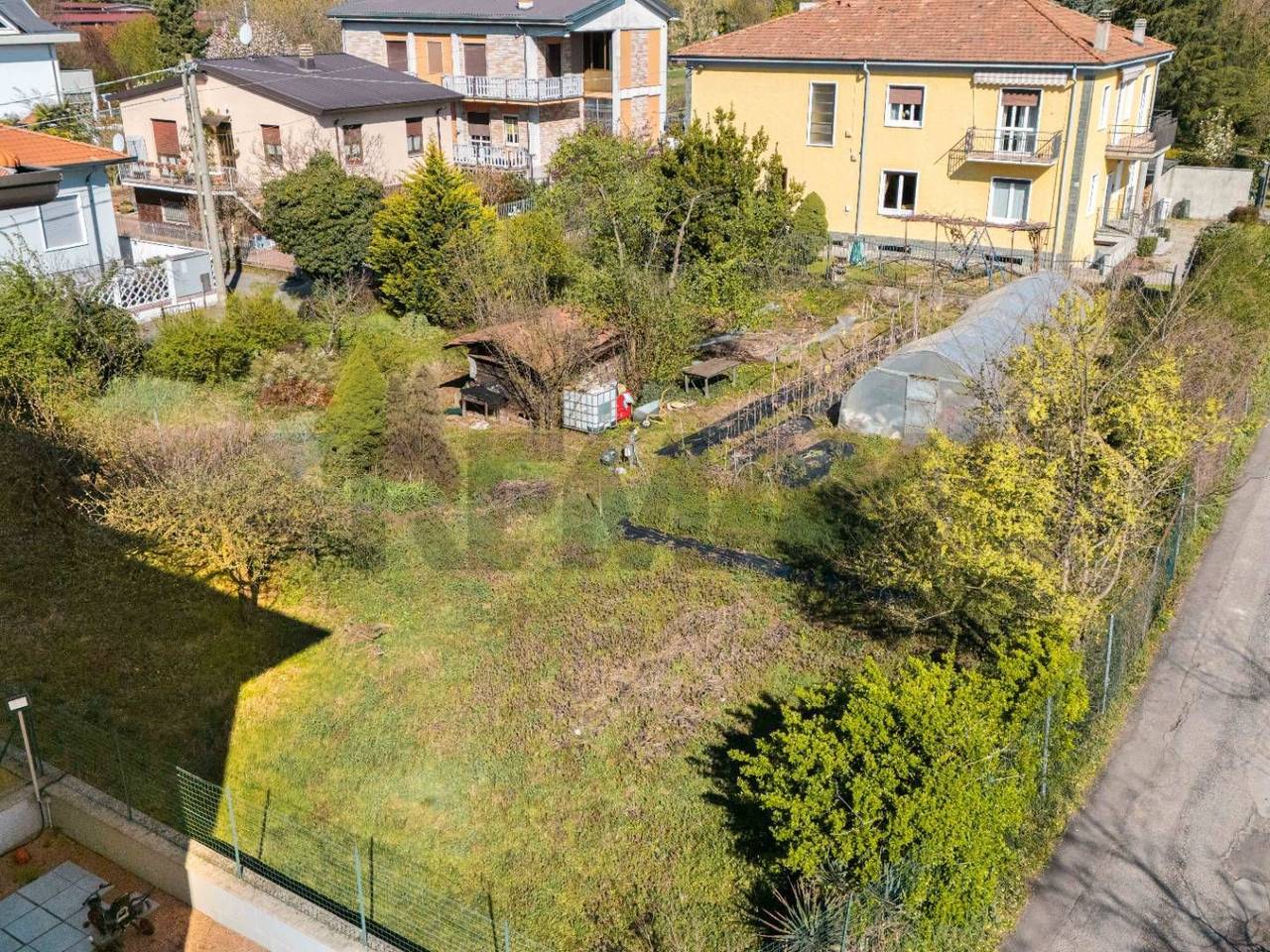 immagine annuncio 2 di 7