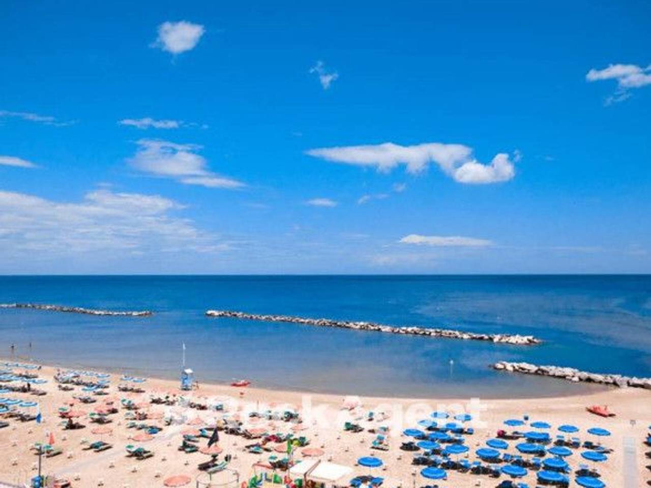 immagine annuncio 1 di 14