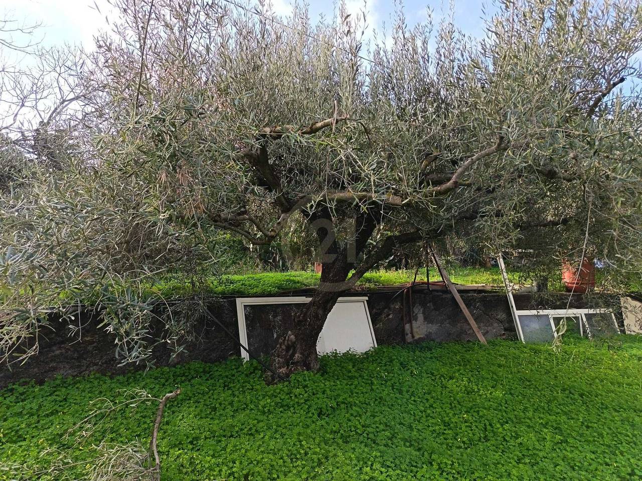 immagine annuncio 2 di 11