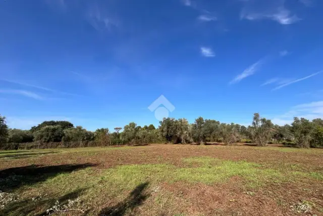 Terreno agricolo in Via Astura, Lanuvio - Foto 1