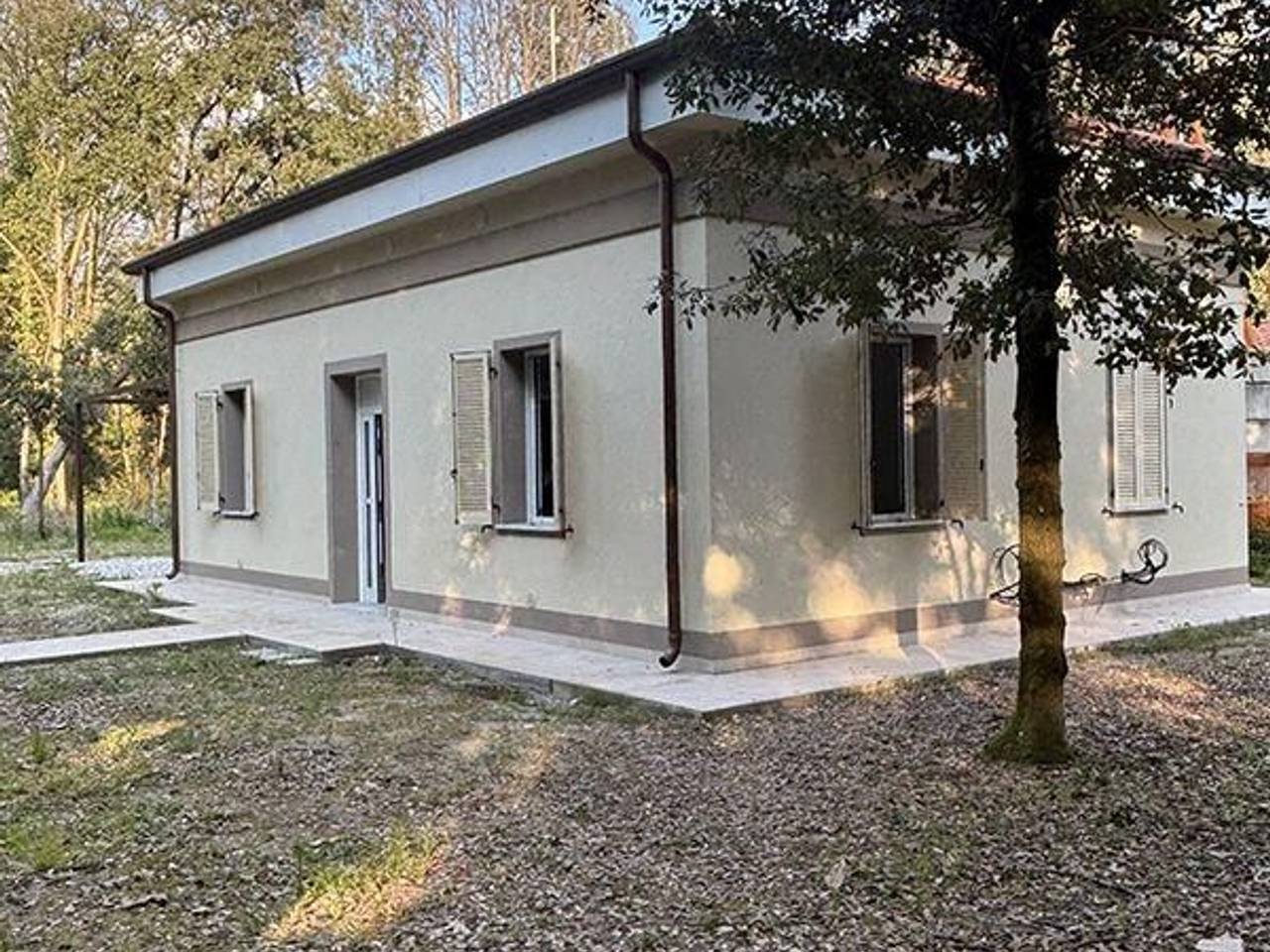 immagine annuncio 3 di 8