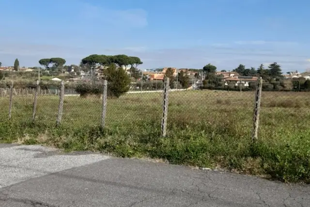 Terreno agricolo in Via della Cavona 54, Frascati - Foto 1