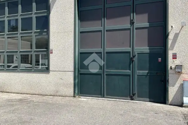 insertion image