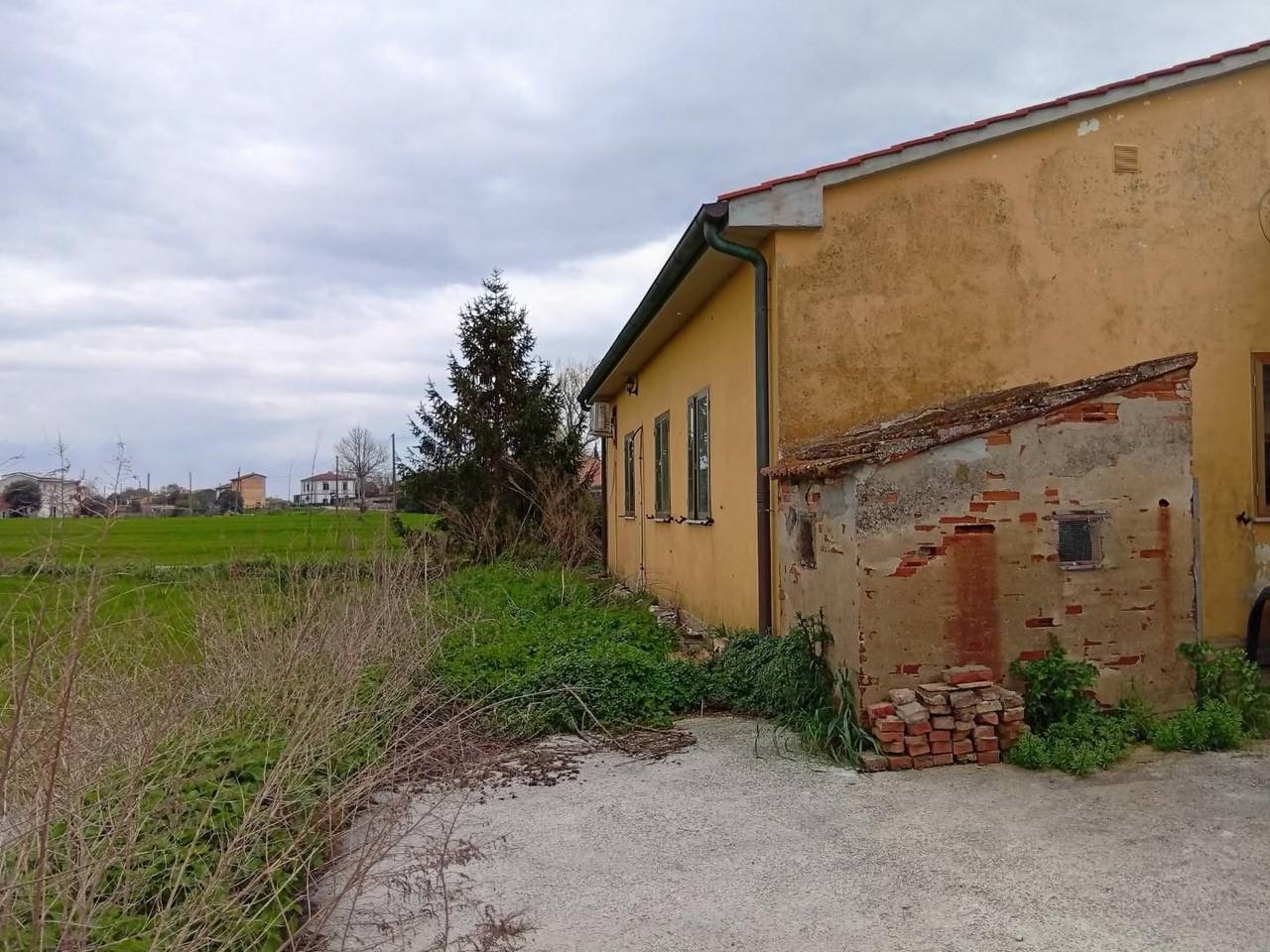 immagine annuncio 3 di 10