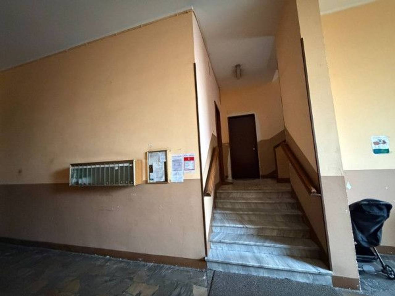 immagine annuncio 12 di 14