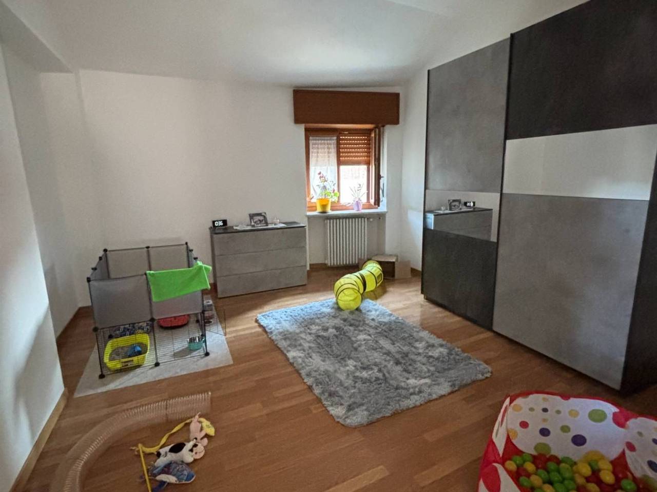 immagine annuncio 6 di 14