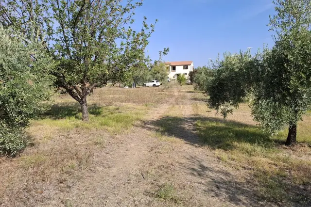 Country house or cottage in Contrada San Giuseppe, Controguerra - Photo 1