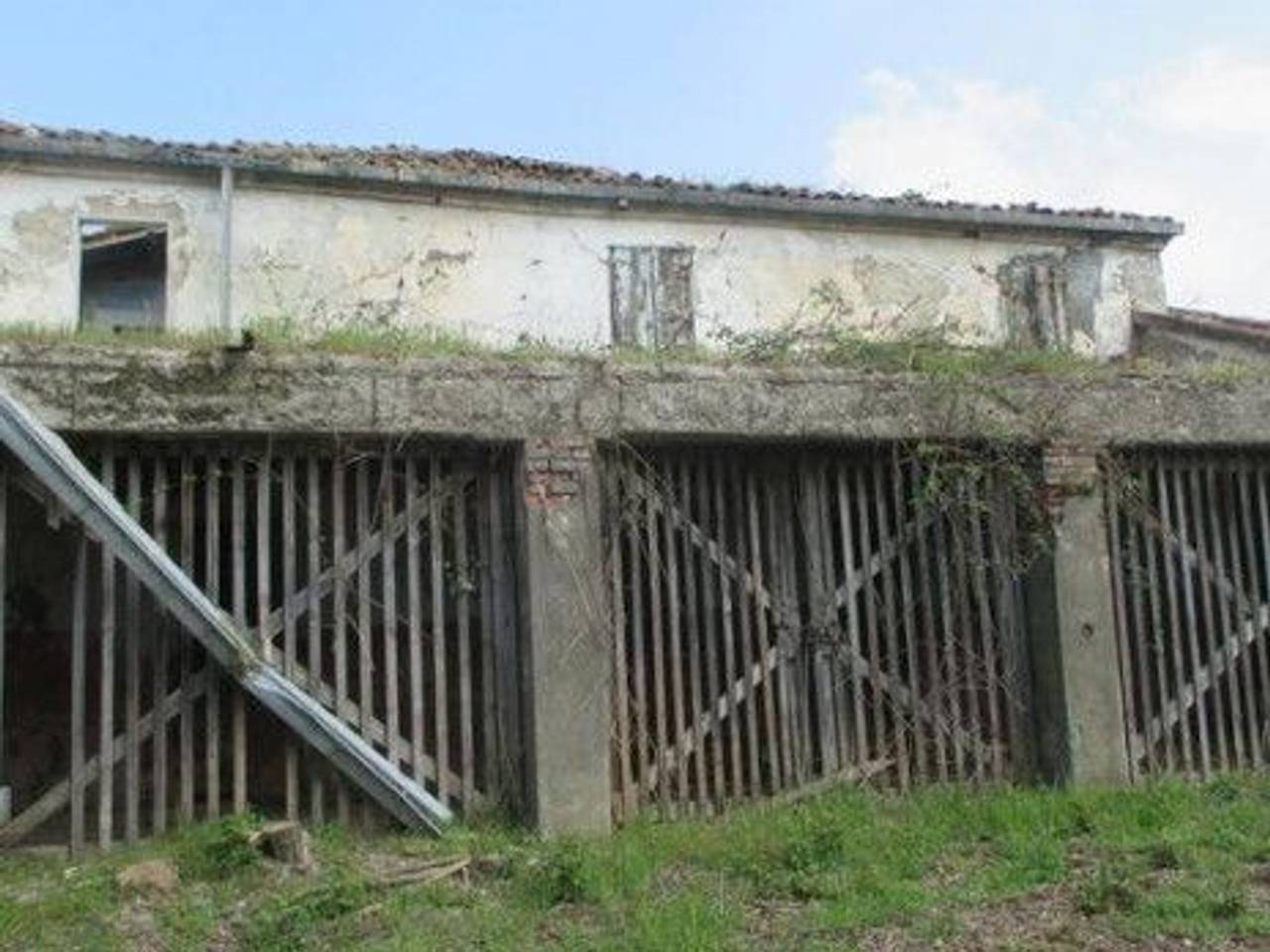immagine annuncio 3 di 8