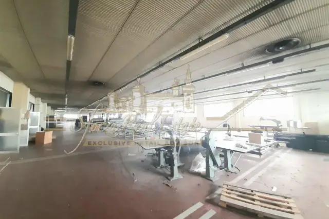 insertion image
