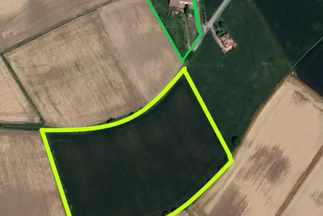 insertion image
