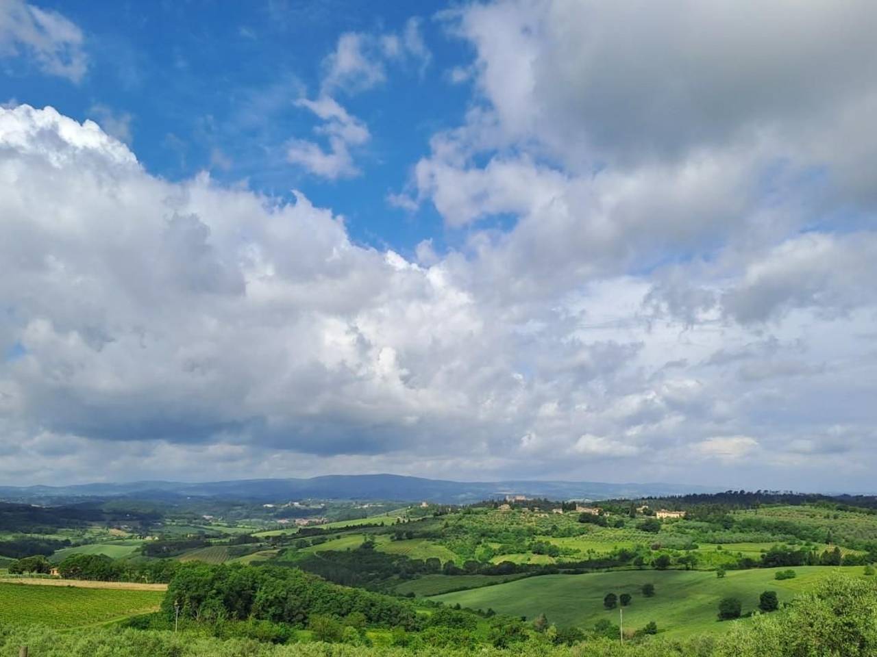 immagine annuncio 5 di 11