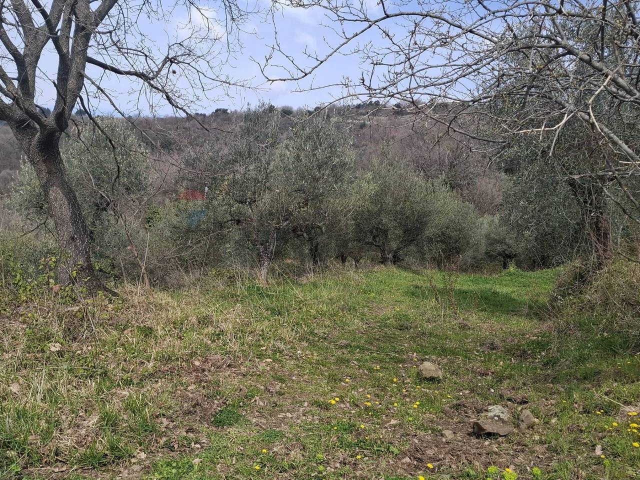 immagine annuncio 4 di 9