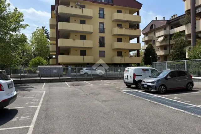 insertion image