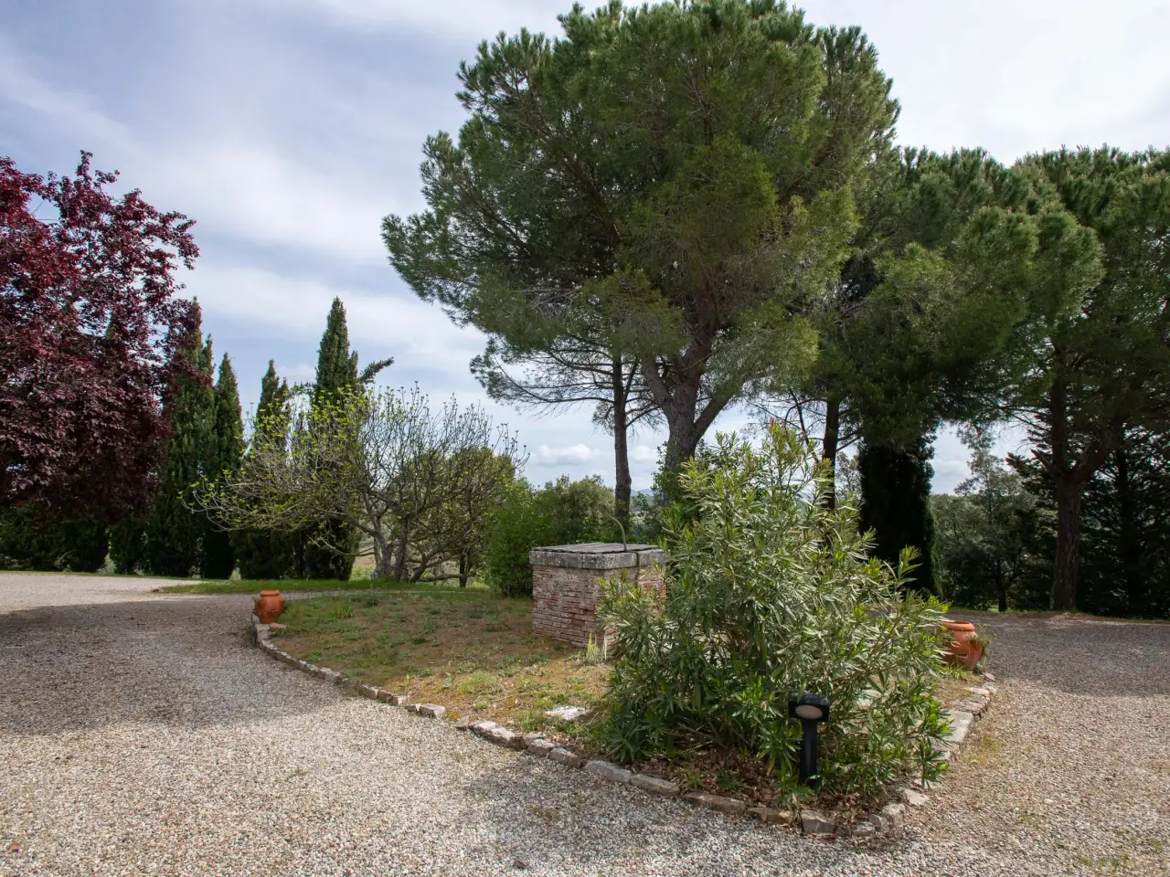 Azienda agricola in , Castelnuovo Berardenga, {3} - Foto 1