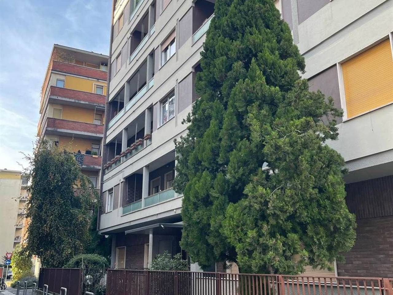 immagine annuncio 1 di 11