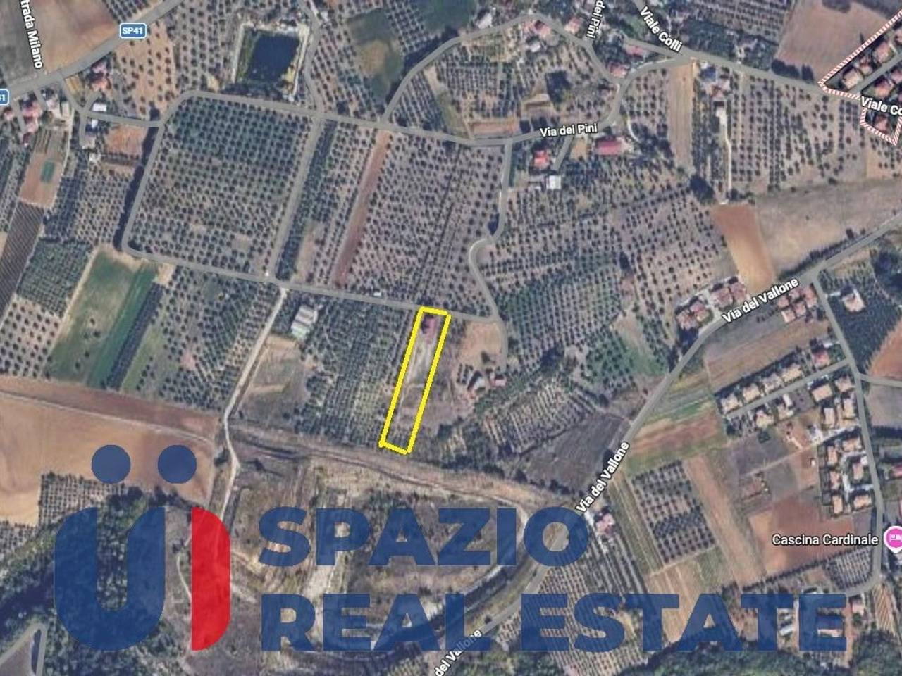 immagine annuncio 4 di 5