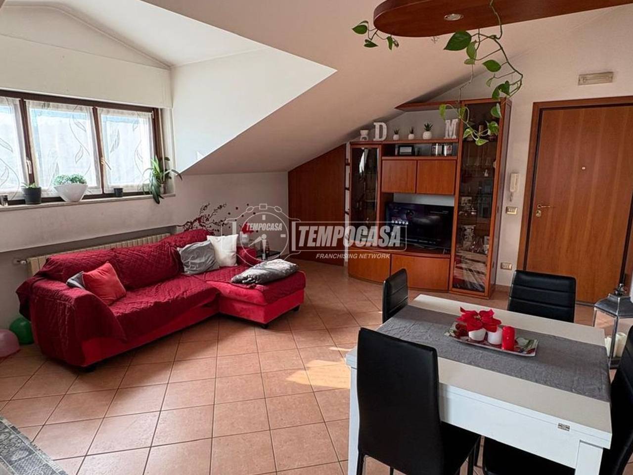 immagine annuncio 1 di 14