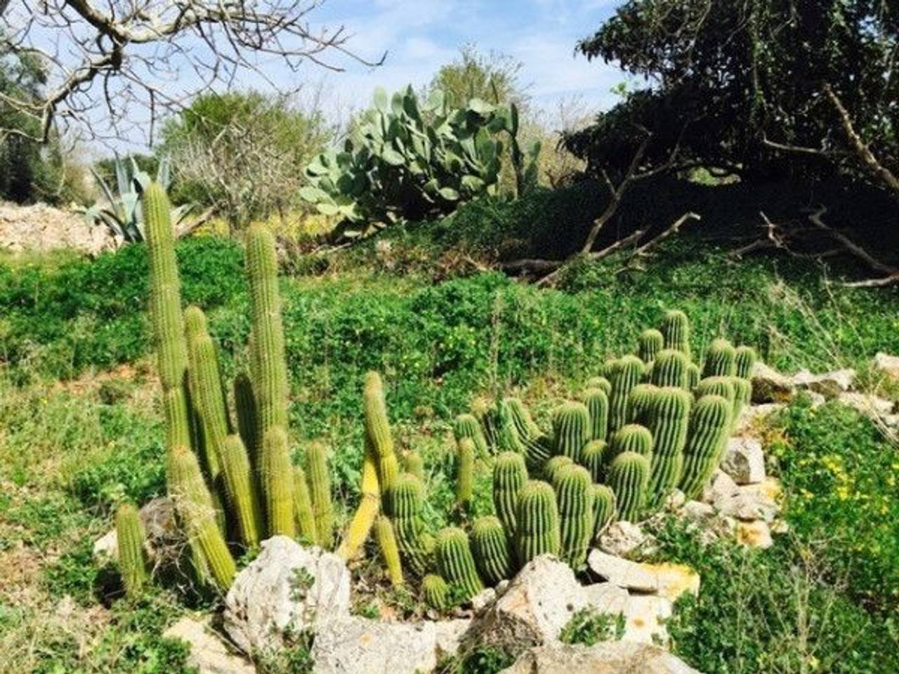 immagine annuncio 14 di 15