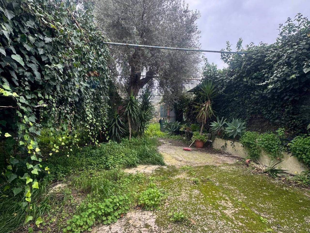 immagine annuncio 6 di 12